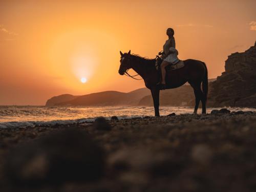 a person riding a horse on the beach at sunset at Venus Sunrise Suites & Villas in Vourvoulos