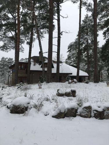 a house in a snow covered yard with trees at Vabaduse Guesthouse in Narva-Jõesuu