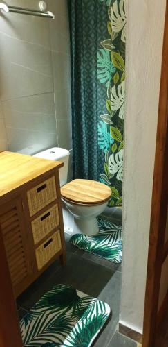 uma casa de banho com um WC e uma cortina de chuveiro verde em Ohana RBNB studio " Kaveka" em Tevaitoa