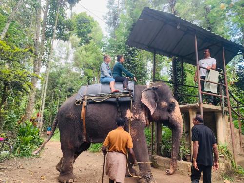 Binatang di homestay atau berdekatan