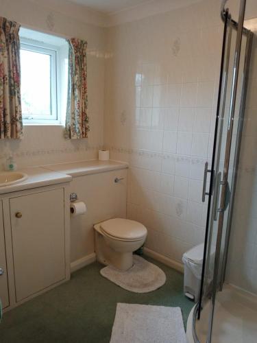 a bathroom with a toilet and a sink and a shower at Glen Dhoo Country Cottages - The Apartment in Onchan