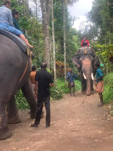 Tetamu yang menginap di Mountain View Homestay
