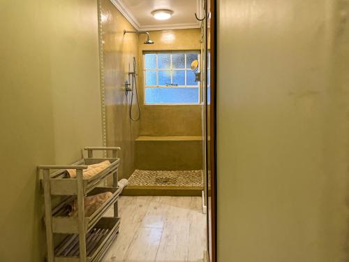 een douche met een glazen deur in de badkamer bij Telestai Guest House in White River