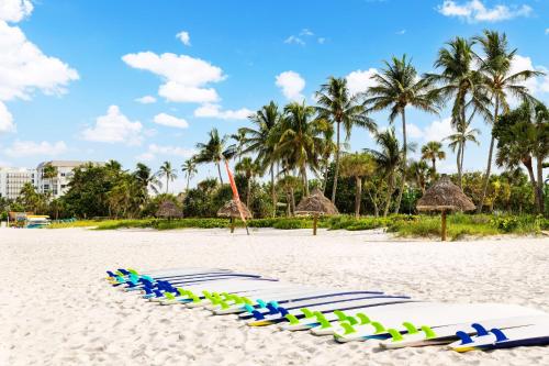 a row of surfboards on a beach with palm trees at Hampton Inn Naples-Central in Naples