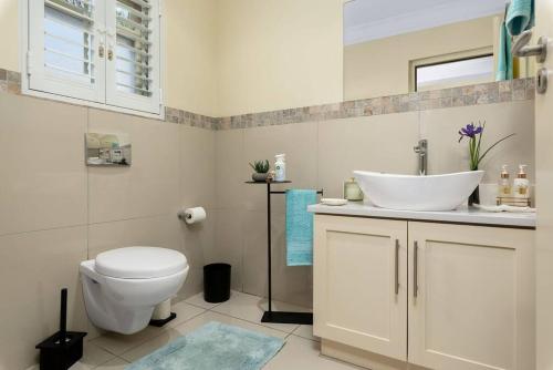a bathroom with a white toilet and a sink at The Tram Home Stay in Franschhoek