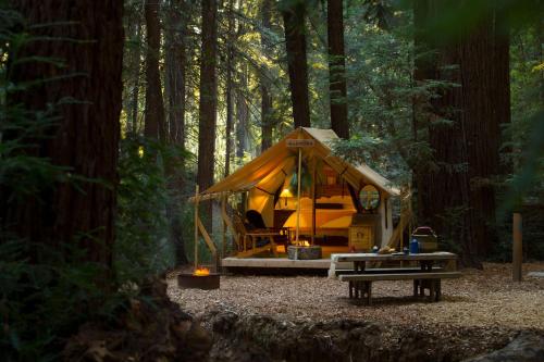 a tree house in the middle of a forest at Alila Ventana Big Sur - Inclusive Resort in Big Sur