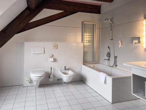 a bathroom with a toilet and a tub and a sink at Herzogskelter Restaurant Hotel in Güglingen