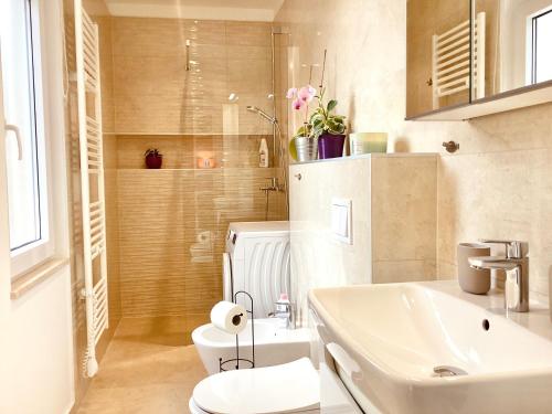 een badkamer met een wit toilet en een wastafel bij Apartment Punta in Pula