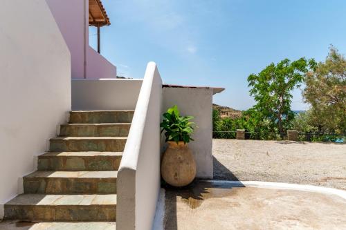 Photo de la galerie de l'établissement Agia Marina Apartments 6 Andros, à Andros