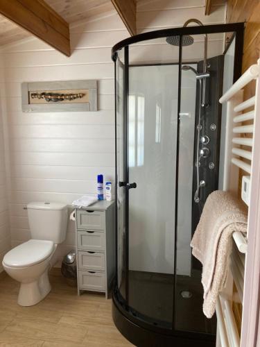 een badkamer met een douche en een toilet bij Chalet in Le Teich