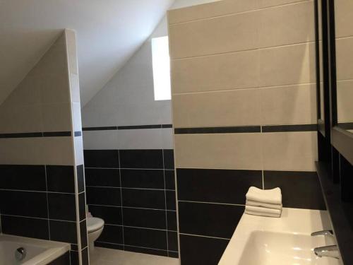 a bathroom with a sink and a toilet at Gite de charme à Frémainville dans le vexin in Frémainville