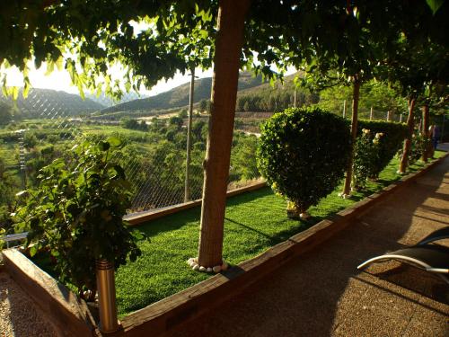 a row of trees in a garden with a view at Suite Rural Carenas in Carenas