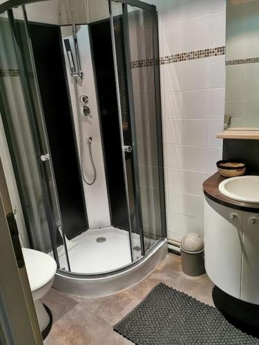 ein Bad mit einer Dusche, einem WC und einem Waschbecken in der Unterkunft Chaleureux Studio de 35m2 totalement indépendant in Fors