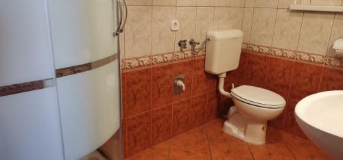 Koupelna v ubytování Apartment Grahovac 4