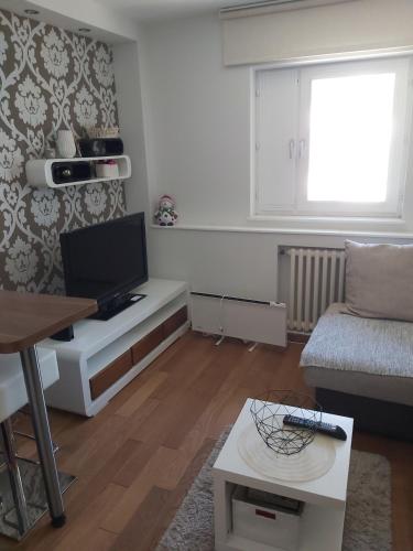 uma sala de estar com uma televisão e um sofá em MR. O Apartments Kopaonik em Kopaonik