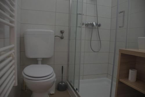 La salle de bains est pourvue d'une douche et de toilettes. dans l'établissement BB Gore, à Dol pri Hrastniku