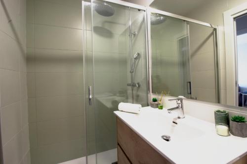 uma casa de banho com um chuveiro, um lavatório e um espelho. em Apartamento Vista Picos em San Vicente de la Barquera