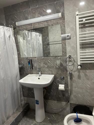 a bathroom with a sink and a mirror and a toilet at Guest house Medea in Kutaisi