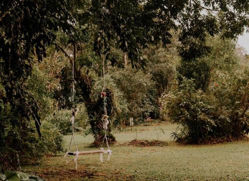 a person on a swing in a tree at Casa de campo em Joinville com Hidromassagem e Lareira in Joinville