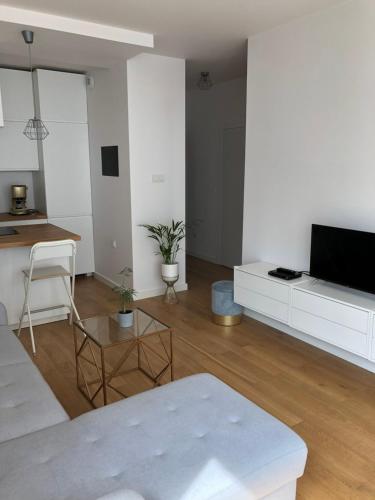 Μια τηλεόραση ή/και κέντρο ψυχαγωγίας στο Quiet Ursynow Airport S2