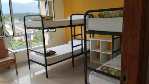 2 Etagenbetten in einem Zimmer mit Fenster in der Unterkunft Albergue Internacional de Llanes in Llanes