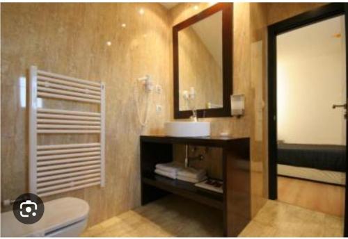 a bathroom with a sink and a mirror and a toilet at hotel asador versus in Burgos
