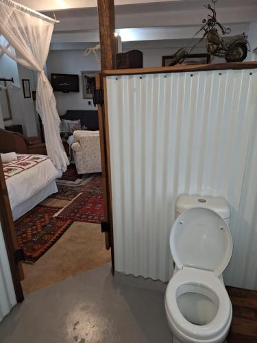 a bathroom with a white toilet in a room at Rhus Cottage. in Stanford