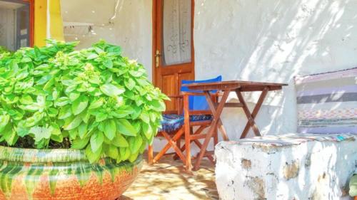 Fotografie z fotogalerie ubytování Kaiti’s House v destinaci Arkoi