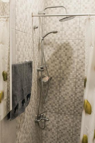 a shower with a glass door in a bathroom at Downtown Apartment Travnik in Travnik