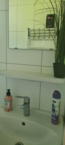 un lavandino in bagno con una pianta sopra di Gezellige chalet met grote privétuin. a Dronrijp