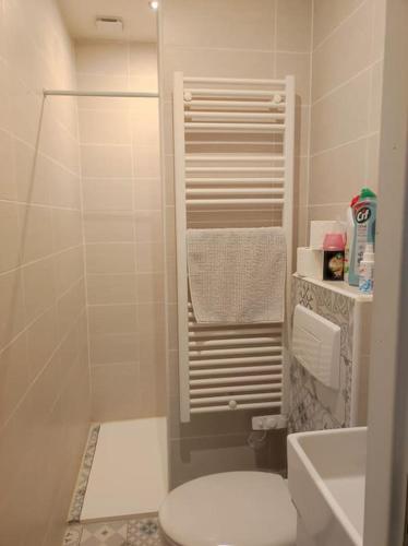 une petite salle de bain avec toilettes et douche dans l'établissement Le pigeonnier d'Agnès, à Jenzat