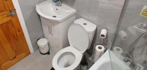 małą łazienkę z toaletą i umywalką w obiekcie New Bubble Apartments w Londynie