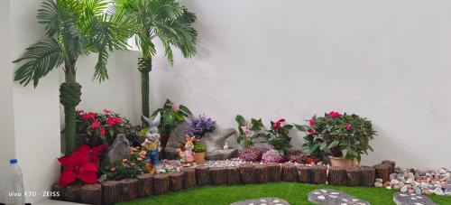 a display of plants and flowers in a garden at The Garden Emerald Avenue Cameron Highlands 6Pax 910 Wifi in Brinchang