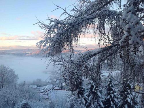 a tree branch covered in snow with a view of the water at Charmantes Landhaus mit Garten und traumhaftem Fernblick in Thal