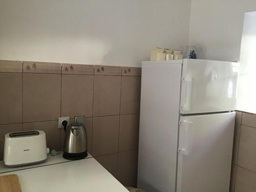 a kitchen with a white refrigerator and a toaster at Apartments Subotic in Risan