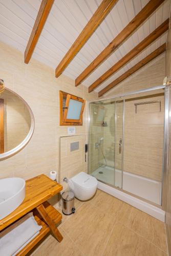 a bathroom with a shower and a toilet and a sink at Kairos Valley Wellness & Longevity in Datca