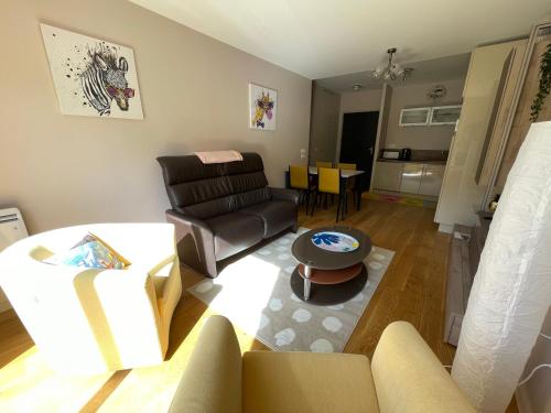 ein Wohnzimmer mit einer Couch und einem Sessel in der Unterkunft Le B4 - Résidence La Montille in Le Mont-Dore