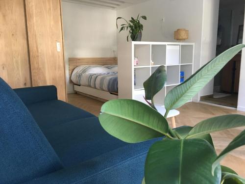 Cocon, lumineux au cœur de Paris