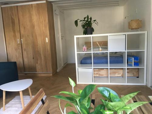 Cocon, lumineux au cœur de Paris