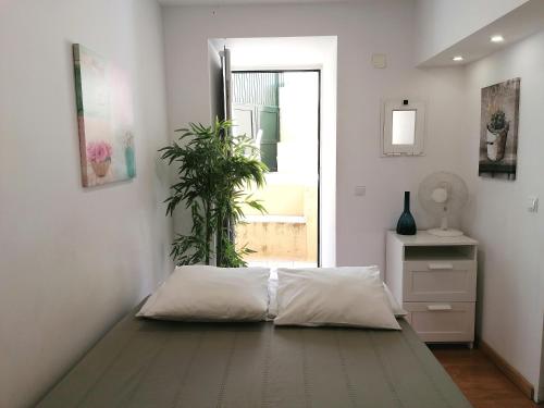 - une chambre avec un lit et une plante à l'étage dans l'établissement Flowers in Pop House, à Lisbonne