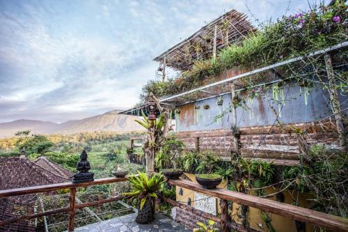 a building with plants on the side of it at Pondok Nyoman Bedugul by AGATA in Bedugul