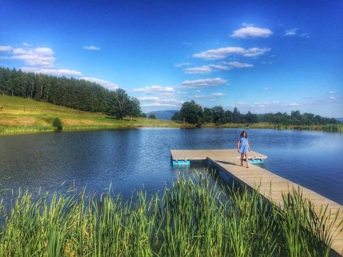 Mała dziewczynka stojąca na przystani nad jeziorem w obiekcie Horský Hotel Sněženka w mieście Hynčice pod Sušinou