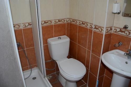uma casa de banho com um WC e um lavatório em GOLD OTEL KASTAMONU em Kastamonu