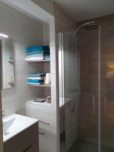 a bathroom with a shower and a sink and a shower at Liten Tur ' N in Sélestat