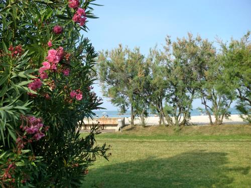 una vista sulla spiaggia da un parco con fiori rosa di Residence Marche - Residenza Ecologica a Lido di Fermo