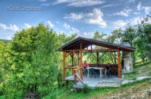 Κήπος έξω από το Căsuța Sofia NND Resort