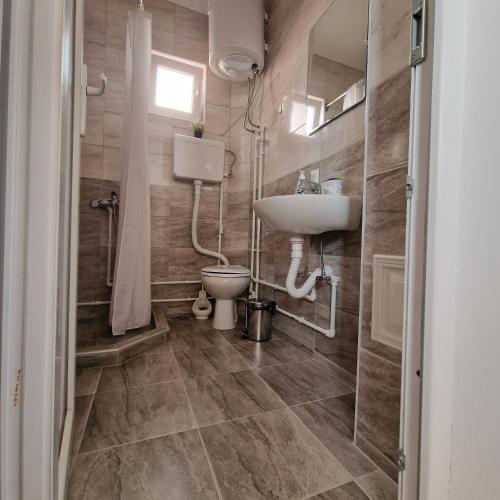 a bathroom with a sink and a toilet at Apartman "Lola" in Pirot