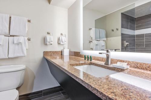 Ein Badezimmer in der Unterkunft Cherry Tree Inn & Suites