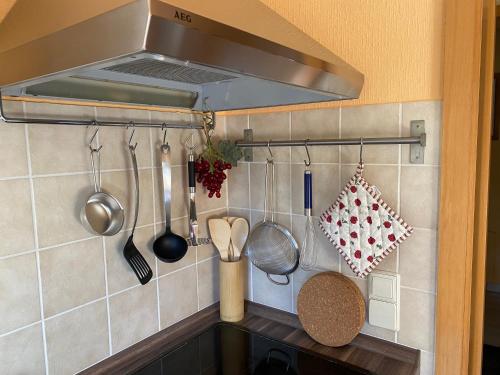 eine Küche mit Küchenutensilien, die an der Wand hängen in der Unterkunft Appartement Am Weinberg in Radebeul