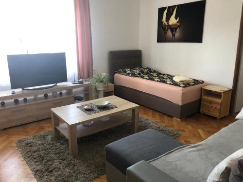 Fotografie z fotogalerie ubytování Apartmán v Týně nad Vltavou v destinaci Týn nad Vltavou